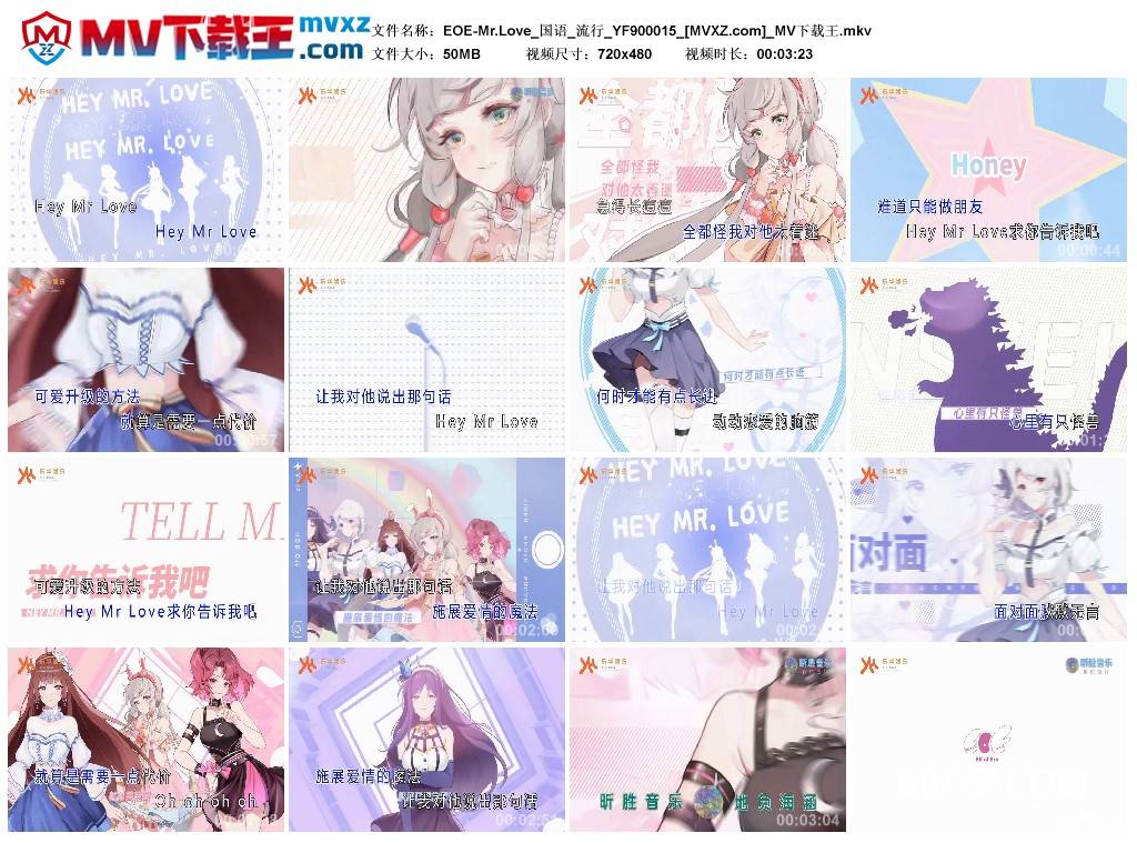 EOE-Mr.Love_国语_流行_YF900015